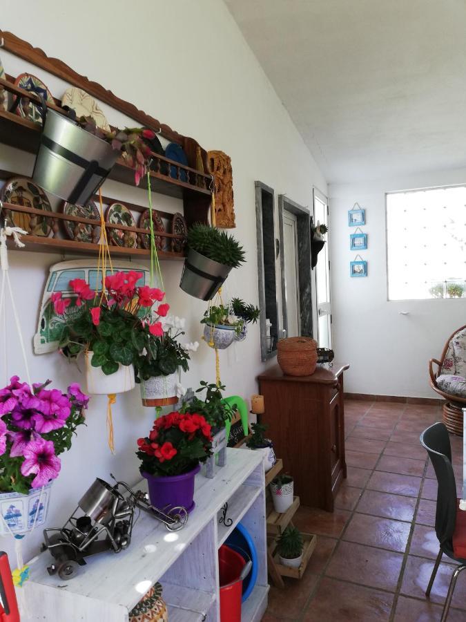 Hotel Moradia No Seixal Ericeira Exteriér fotografie